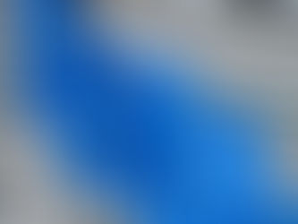 European Commission vows action after concluding probe into Chinese biofuel imports