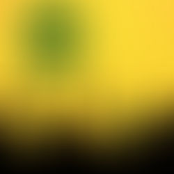 Empowered people make for a prosperous country