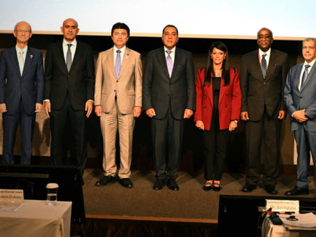 Egypt, Japan set sights on green marine fuels and industrial cooperation