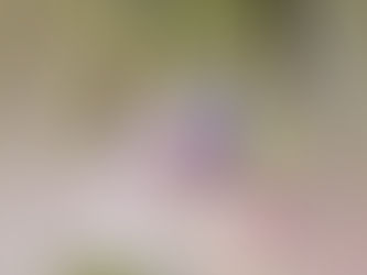 Alodia reflects on motherhood journey: It’s super rewarding