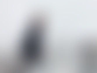 US says Blinken briefed on Ukraine plan to push Russia to end the war 