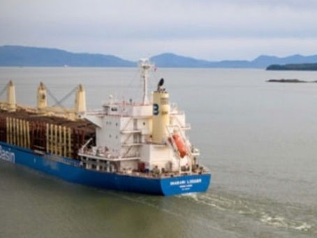 Shipowners Take Steps to Avoid U.S. and Chinese Port Fees