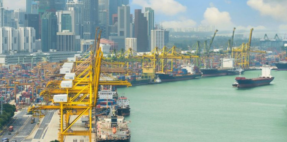 Industry groups urge stronger collision prevention measures across ports & terminals
