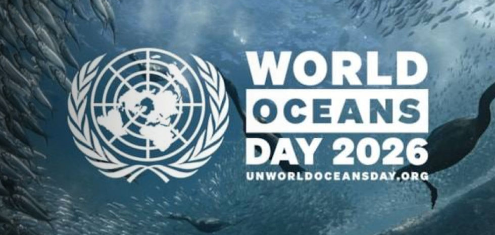 World Oceans Day: IMO Urges Nations to Put Policies into Practice