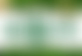 What a wonderful year