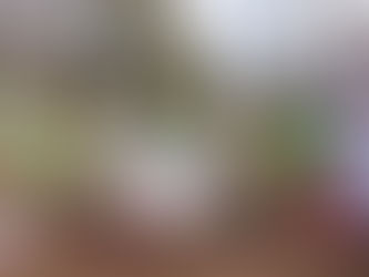 A Southern California school plants a 'Moon Tree' grown with seeds flown in space 