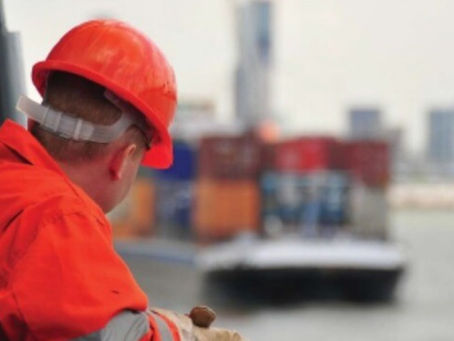 Crews of Dali and MSC Elsa 3 Ask Courts for Release