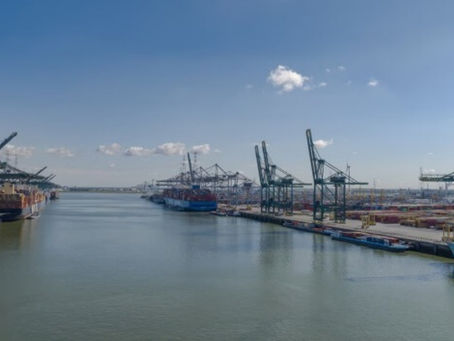 Antwerp Surpasses Rotterdam in Q1 Containers as Ports Fear U.S. Tariffs 