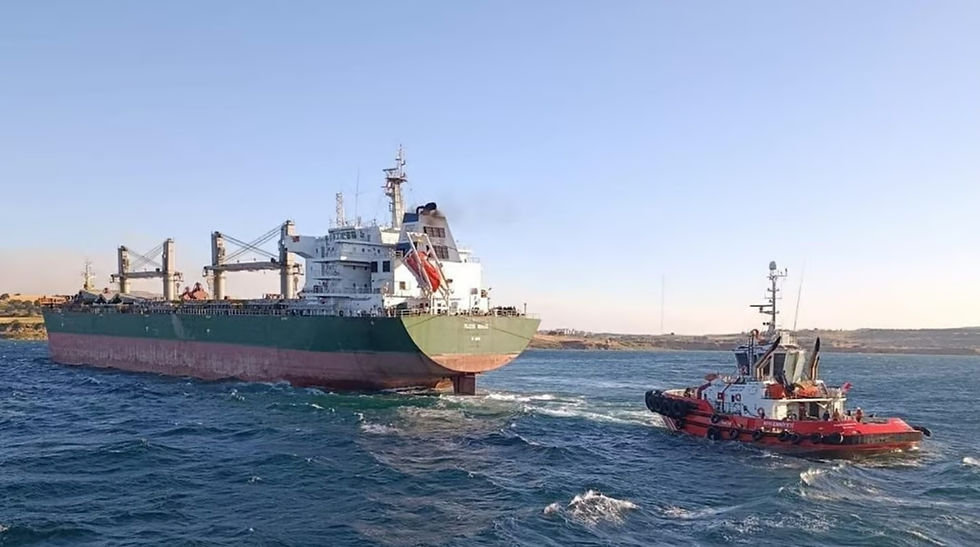 Turkish Bulker Heading to Russia Breaks Down and Blocks the Dardanelles