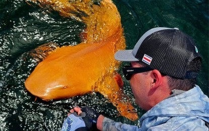 Rare bright orange shark with white eyes discovered off Costa Rica