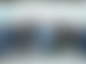 Hong Kong Chamber of Shipping Championing a Green Maritime Transition 