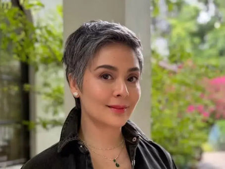 Dawn Zulueta shares the role she wants to take on if she returns to acting