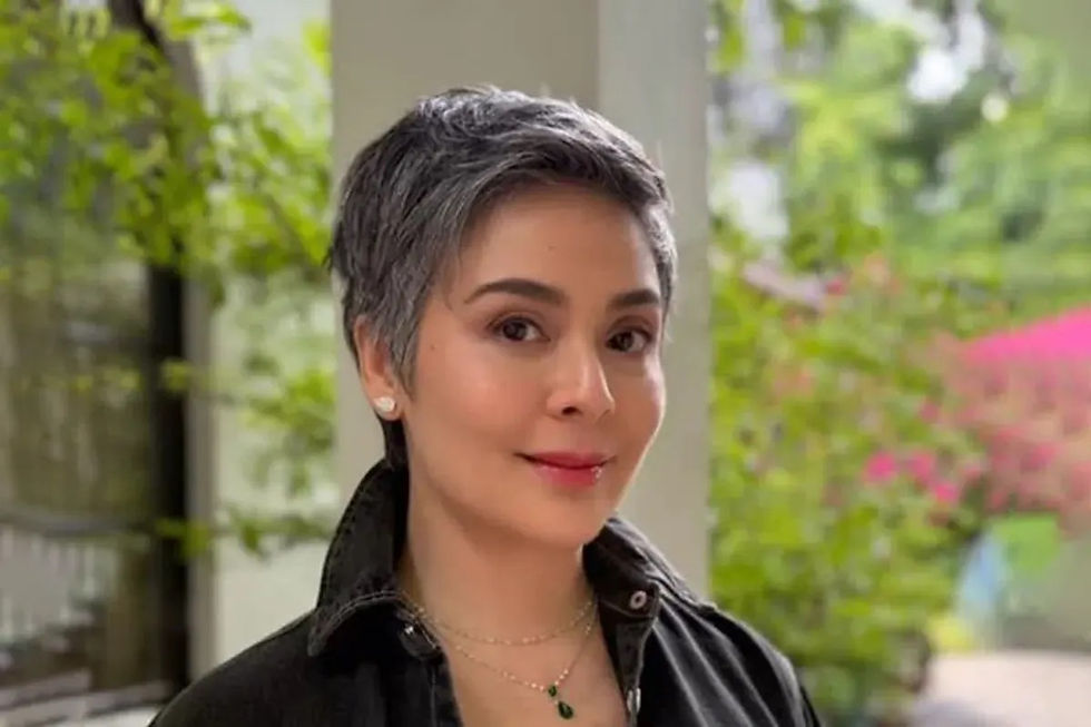 Dawn Zulueta shares the role she wants to take on if she returns to acting