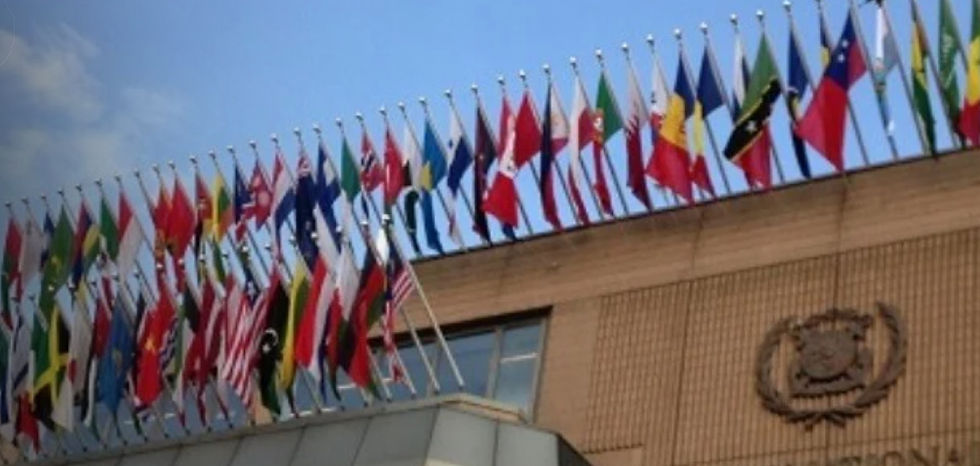 NZF is the Only Option for Delivering on IMO's Climate Commitments