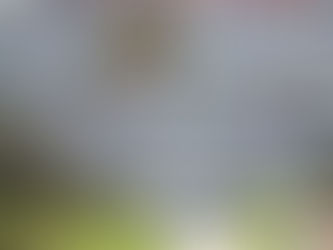 INC rally calls for actions vs corrupt government officials