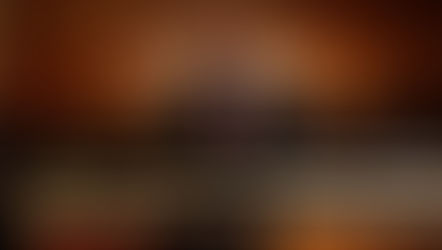 Public Interest SA on the Conviction and Sentencing of Julius Malema