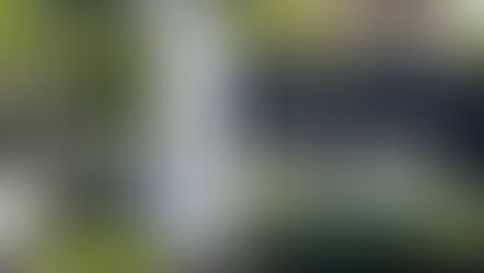 Suspended property regulator boss, axed head of news crack SABC board shortlist