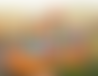 Where to Pick Your Pumpkin in Fredericksburg, TX