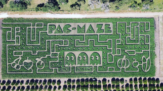 Have Fun in Jenschke Orchards Pac Maze this Fall