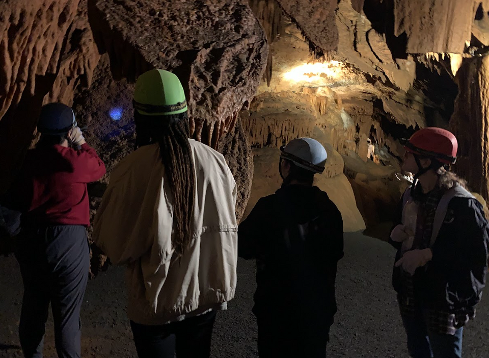 Hunting microbes with a UV light