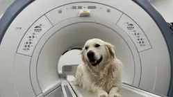 Není CT jako CT a není MRI jako MRI