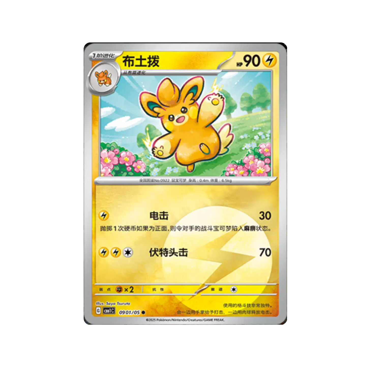 Carte à l'unité : Pohmotte /05 CHINOIS