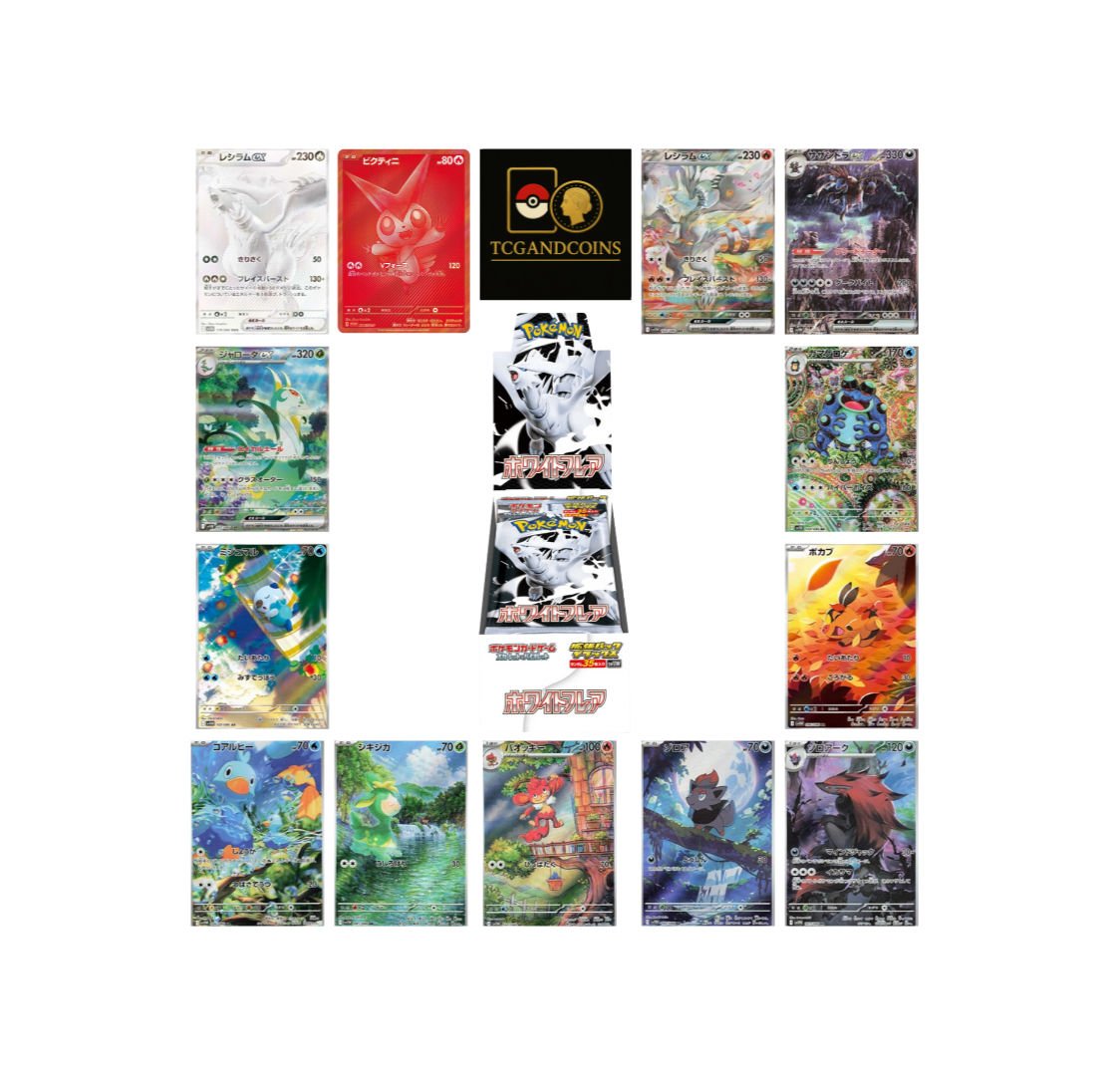 Display Japonais : White Flare, DELUXE, Scellée 