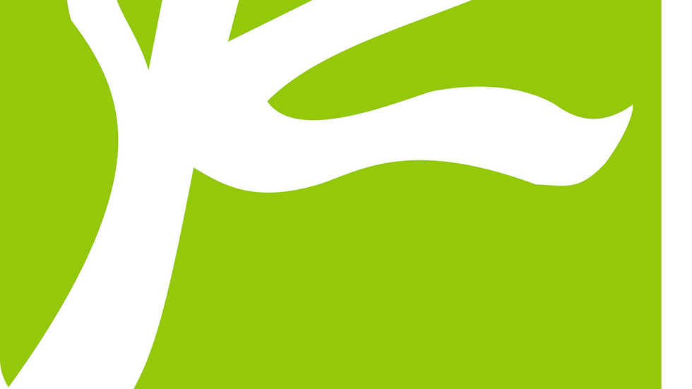 logo ifisa 