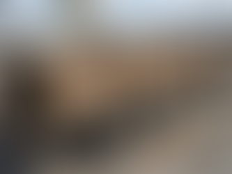 Polines de madera: la columna vertebral de la construcción y el embalaje industrial