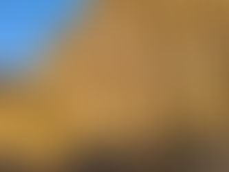 Tarimas y pallets de grupo IFISA