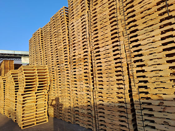 Tarimas de madera