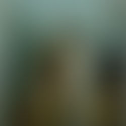 Thực ra những đứa trẻ cần gì từ gia đình?