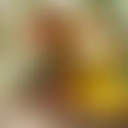 huile de jojoba bienfaits utilisations et précautions, terra di natura