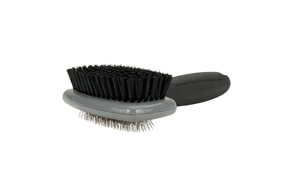 Miniature : brosse efficace pour démêler les poils de son chien, terra di natura