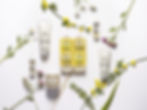 l'oréal greenwashing, terra di natura