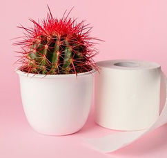 j'ai mal à l'anus, que faire, terra di natura