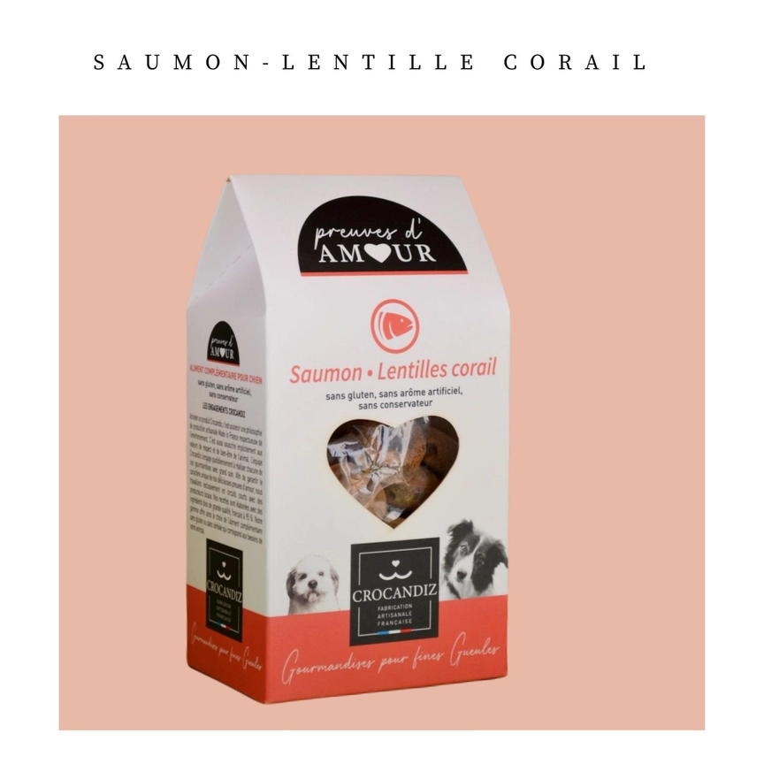 Friandises naturelles et bio pour chien au saumon, terra di natura