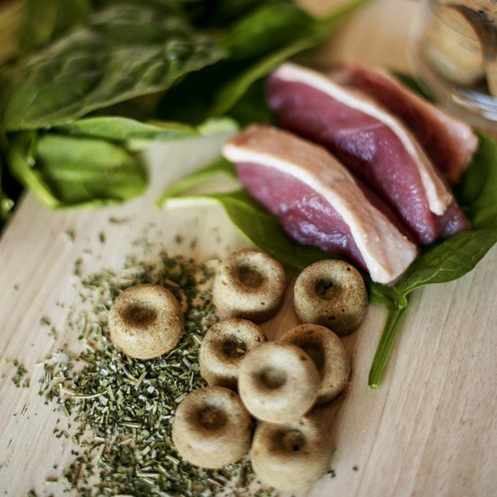 acheter des friandises bio pour chien, terra di natura