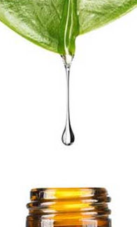 leucidal, terra di natura