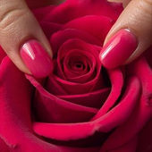 quel savon pour le ph vaginal, terra di natura