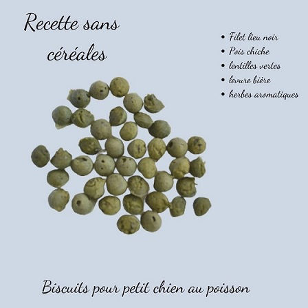 biscuits naturels pour chiens recette poisson sans gluten, terra di natura