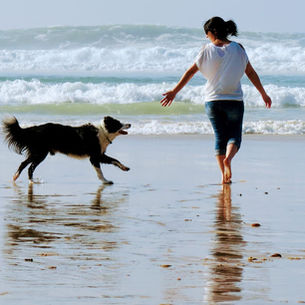 Terra di Natura : Une entreprise engagée, éthique et humaine