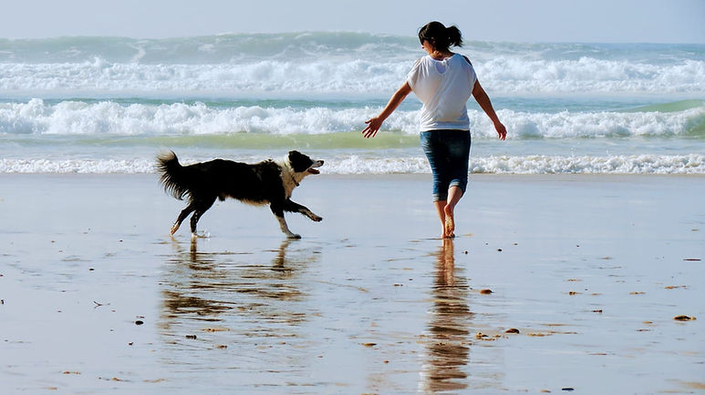 Terra di natura mon histoire.jpeg