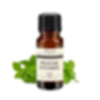huile essentielle bio menthe poivrée anti-douleur et stimulant naturel, terra di natura