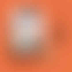 friandises naturelles et bio pour chien au foie de poulet, terra di natura