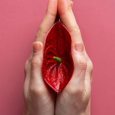 Pain dermatologique ou savon intime : soin lavant naturel et respectueux du pH intime