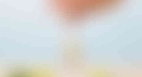 Ingrédients ménage diy