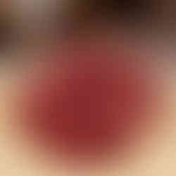 Friandises naturelles pour chien recette à la viande, terra di natura