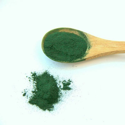 La spiruline renforce l'immunité du chien et du chat convalescent