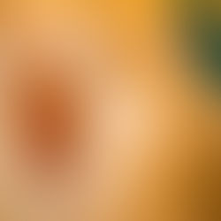 hot spot chien causes et solutions, terra di natura